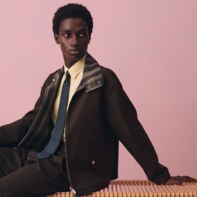 メンズ シルクネクタイ、ボウタイ、ポケットチーフ | Hermès